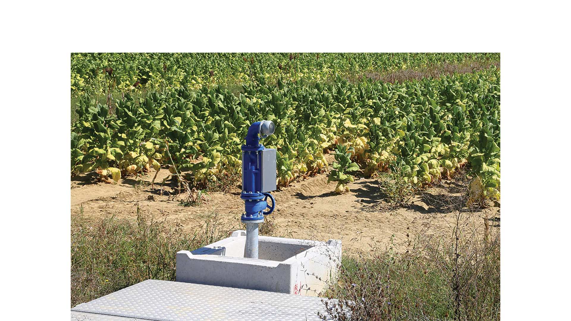ACMO hydropass Smart Solution Irrigatie