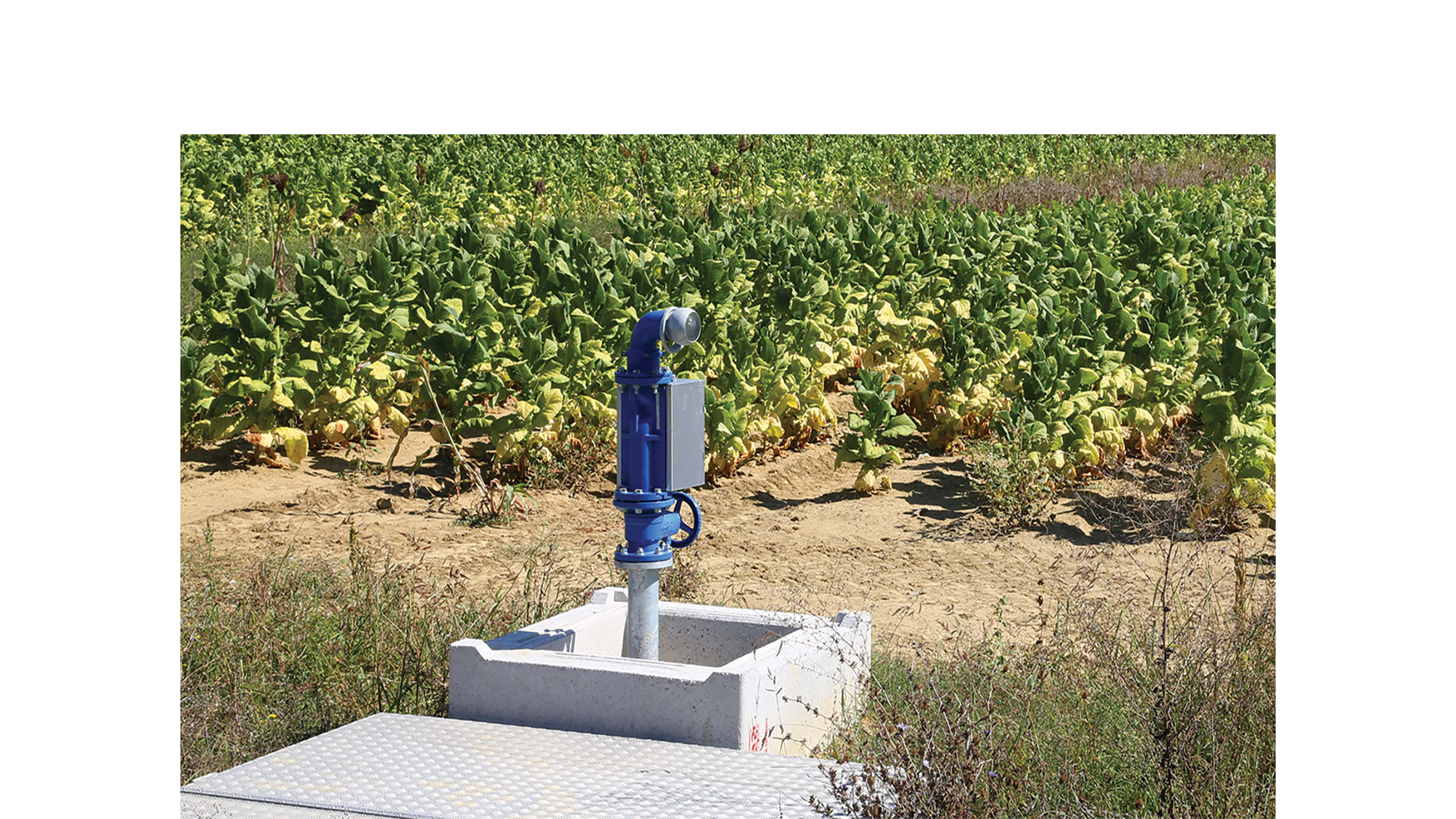 ACMO hydropass Smart Solution Irrigatie